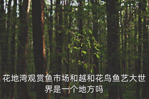 廣州花地灣看魚視頻，花地灣觀賞魚市場和越和花鳥魚藝大世界是一個地方嗎