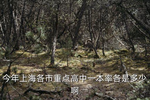 上海市重點(diǎn)高中清北率，今年上海各市重點(diǎn)高中一本率各是多少啊