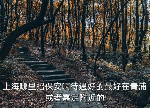 上海市高薪招聘保鏢，上海哪里招保安啊待遇好的最好在青浦或者嘉定附近的