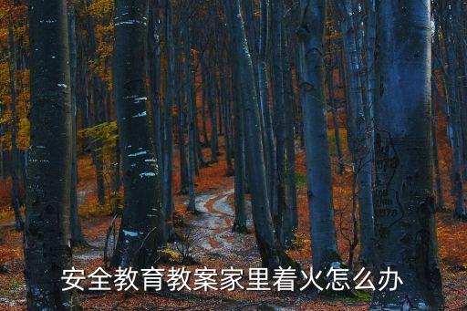 小學消防安全教案，小學生安全教育教案防溺水防火交通食品