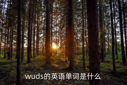 森林的英語，wuds的英語單詞是什么