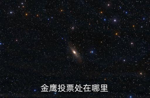 金鷹投票，金鷹網(wǎng)自動投票怎么投
