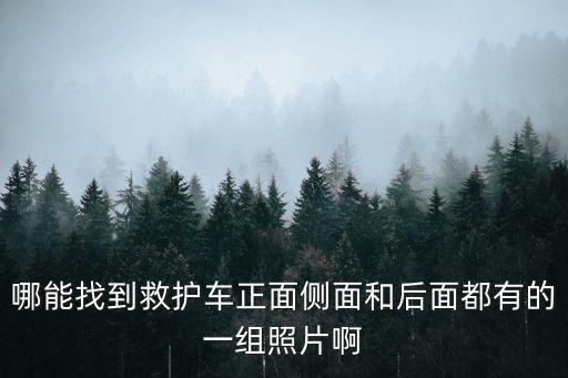 救護車圖片大全，請問這張圖片里白色的車子是不是美國的救護車