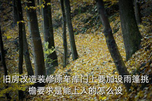 舊房改造裝修原車庫門上要加設雨篷挑檐要求是能上人的怎么設
