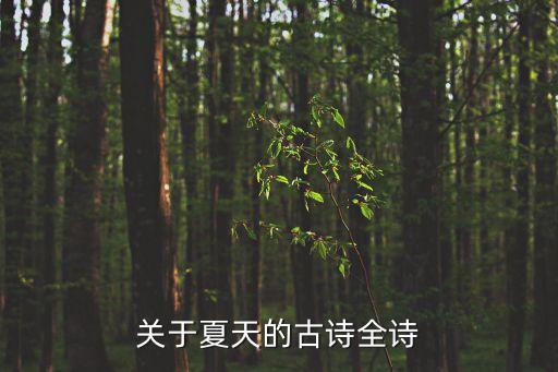 夏季詩句，關于夏天的好詩有哪些