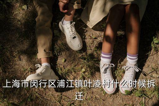 上海市閔行區浦江鎮葉凌村什么時候拆遷