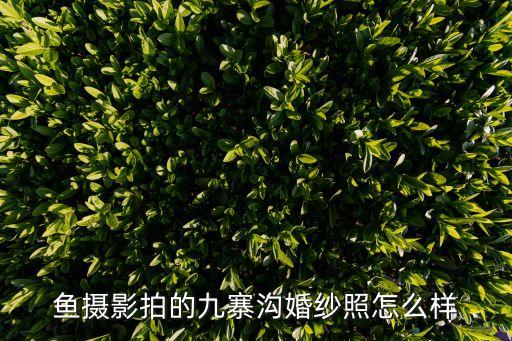 魚攝影拍的九寨溝婚紗照怎么樣