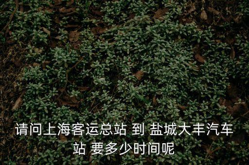 請問上海客運總站 到 鹽城大豐汽車站 要多少時間呢