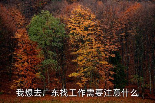 廣州市城中村糞水感染，廣州市白云區人和鎮北后街六村村口一天到晚都坐滿了妓女當地居