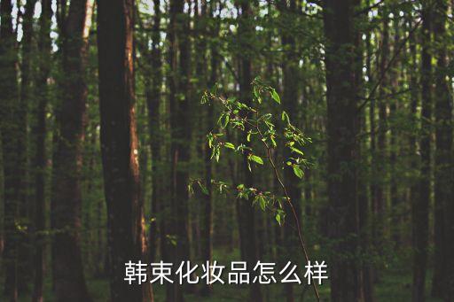 韓束化妝品怎么樣