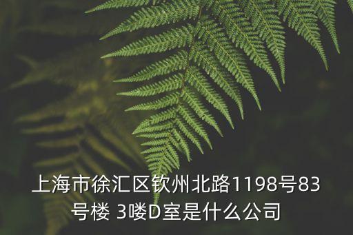 上海市徐匯區(qū)欽州北路1198號83號樓 3嘍D室是什么公司