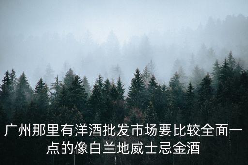 廣州那里有洋酒批發市場要比較全面一點的像白蘭地威士忌金酒