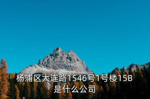楊浦區(qū)大連路1546號1號樓15B是什么公司