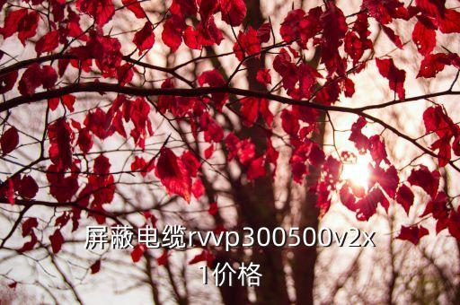 廣州屏蔽電纜接頭價格，屏蔽電纜rvvp300500v2x1價格