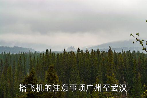 搭飛機(jī)的注意事項(xiàng)廣州至武漢
