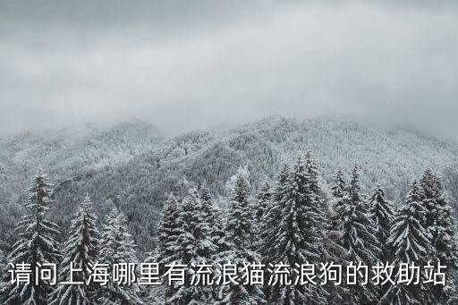上海市救助站救助2站，請問上海哪里有流浪貓流浪狗的救助站