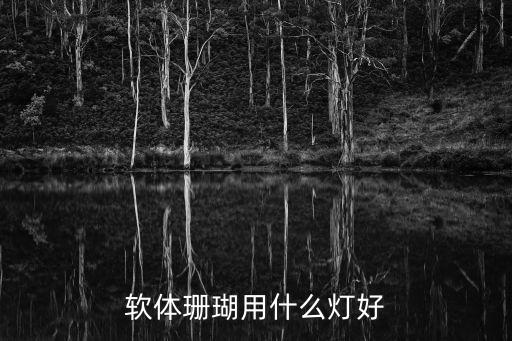 軟體珊瑚用什么燈好