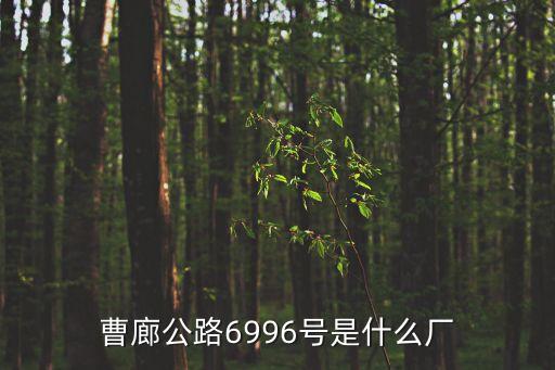 曹廊公路6996號是什么廠