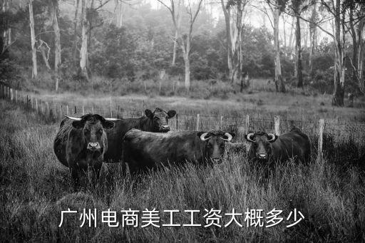 廣州電商設(shè)計師平均薪資，現(xiàn)在在廣東一般網(wǎng)頁設(shè)計師的工資是多少