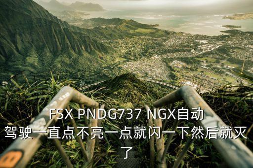 廣州文遠知行自動駕駛，FSX PNDG737 NGX自動駕駛一直點不亮一點就閃一下然后就滅了