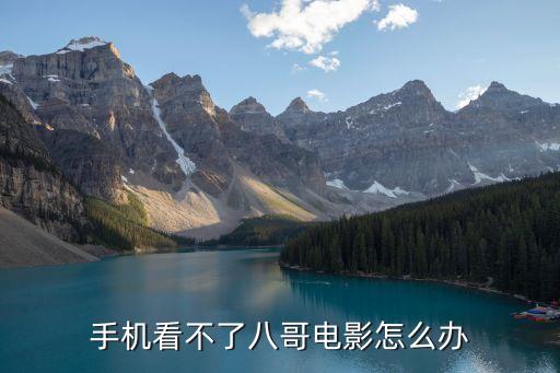 手機看不了八哥電影怎么辦