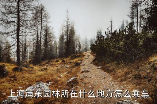 上海市林業和市容管理站，上海街道上收垃圾的屬于什么部門 就是路邊的大桶的垃圾的那種 環衛