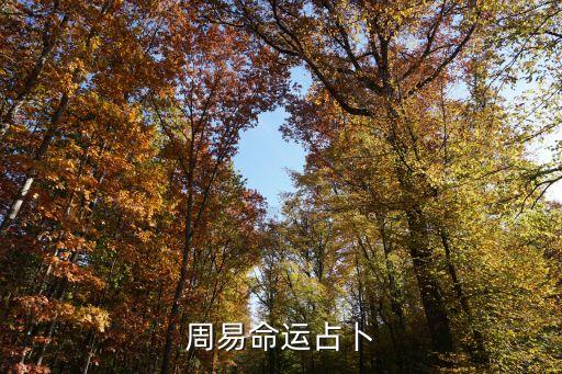 易經占卜，周易命運占卜