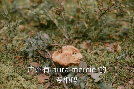 廣州有l(wèi)aura mercier的專柜嗎