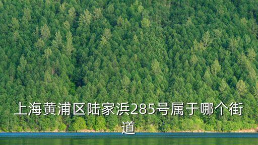 上海黃浦區陸家浜285號屬于哪個街道
