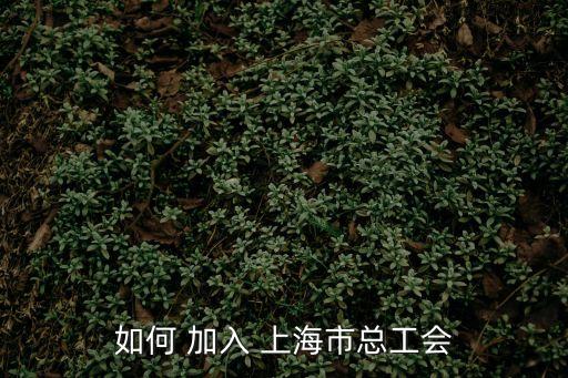 如何 加入 上海市總工會
