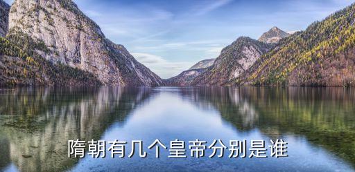 隋朝皇帝，隋朝的皇帝是誰