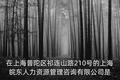 在上海普陀區(qū)祁連山路210號(hào)的上海皖東人力資源管理咨詢有限公司是