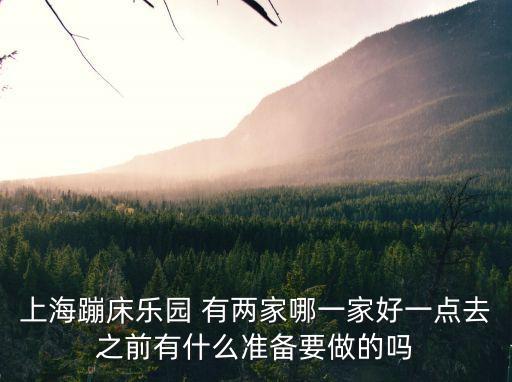 上海市蹦床公園長江路，上海蹦床樂園 有兩家哪一家好一點去之前有什么準備要做的嗎