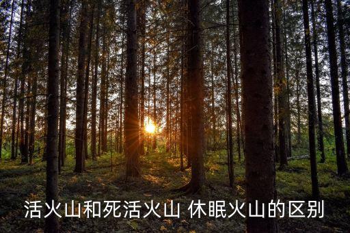 活火山和死活火山 休眠火山的區別