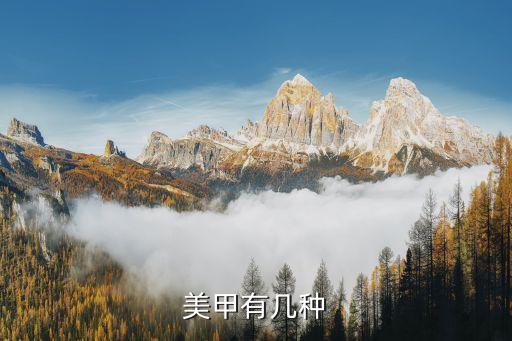 美甲款式，美甲有幾種