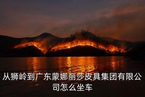 蒙娜麗莎廣州皮具，蒙娜麗莎皮具應(yīng)該不是大品牌吧打售后電話不給解決把責(zé)任還推給顧