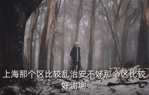 上海那個區比較亂治安不好那個區比較好謝謝