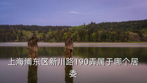 上海市川沙南市居委會電話，上海浦東區新川路190弄屬于哪個居委