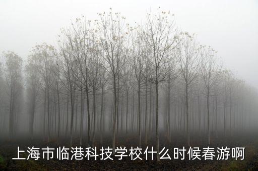 上海市臨港科技學校介紹，關于上海市臨港科技學校