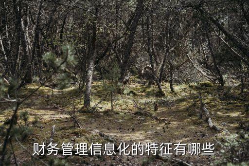 財務(wù)信息化，什么是會計信息化其戰(zhàn)略目標(biāo)是什么