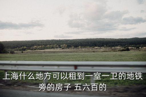 上海什么地方可以租到一室一衛的地鐵旁的房子 五六百的