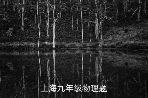 上海九年級物理題