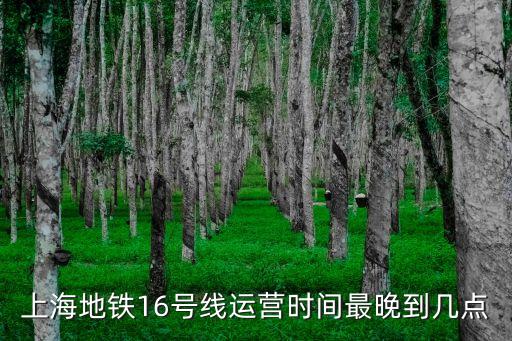 上海地鐵16號線運營時間最晚到幾點
