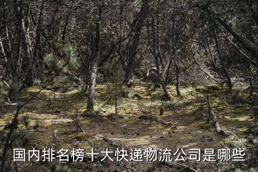 快遞公司排名前十，國內(nèi)排名榜十大快遞物流公司是哪些