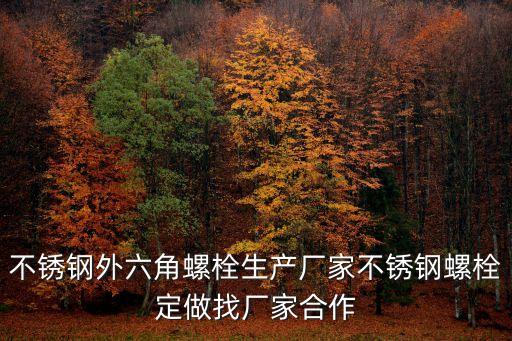 上海市陌威不銹剛標準件，M12X110 不銹鋼螺栓