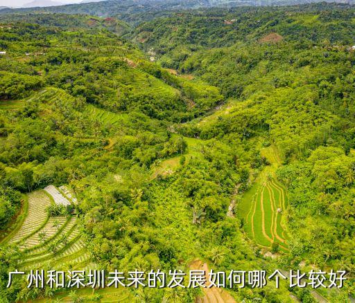 廣州和深圳未來的發(fā)展如何哪個(gè)比較好
