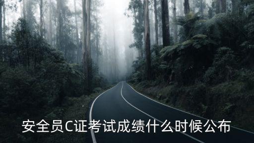 上海市安全員c證成績多久出，2015年11月22日上海安全員考試成績什么時候出來