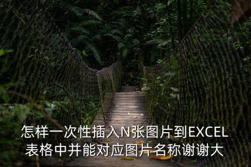 性插圖片，我是一個女帶但我特別喜歡讓別人插得感覺我也喜歡男性的JJ也