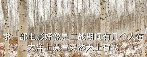 求一部電影好像是二戰期間有幾個人在大洋上漂著突然天上有飛