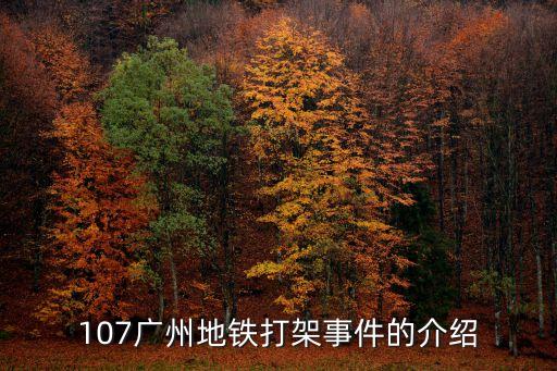 廣州大石地鐵小伙子打架事件，地鐵男子打人事件應該如何處理